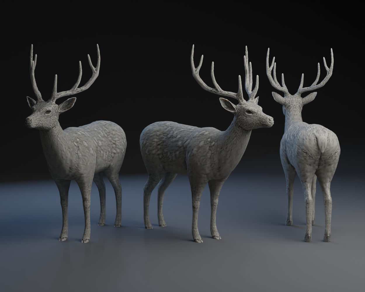 Buck / Deer