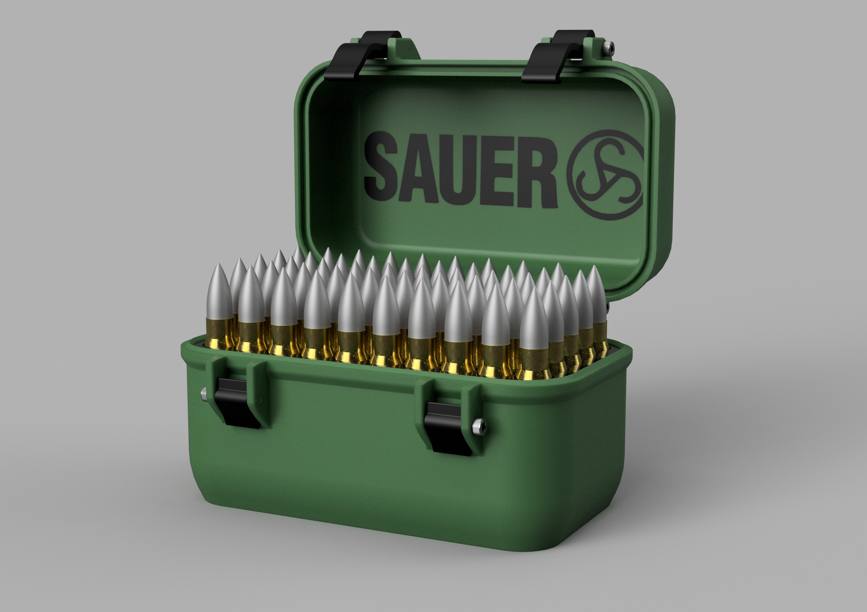 SAUER 30-06 Ammo box