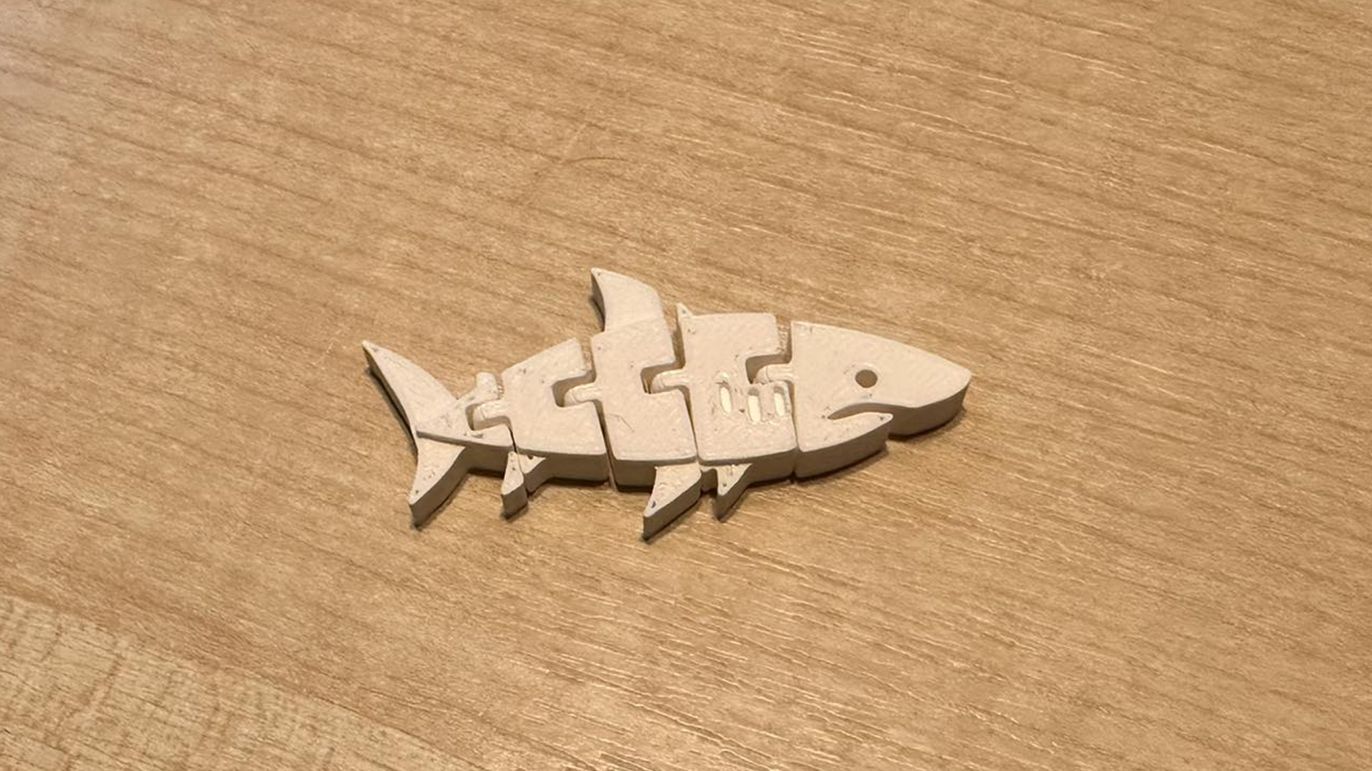 Flexi Shark