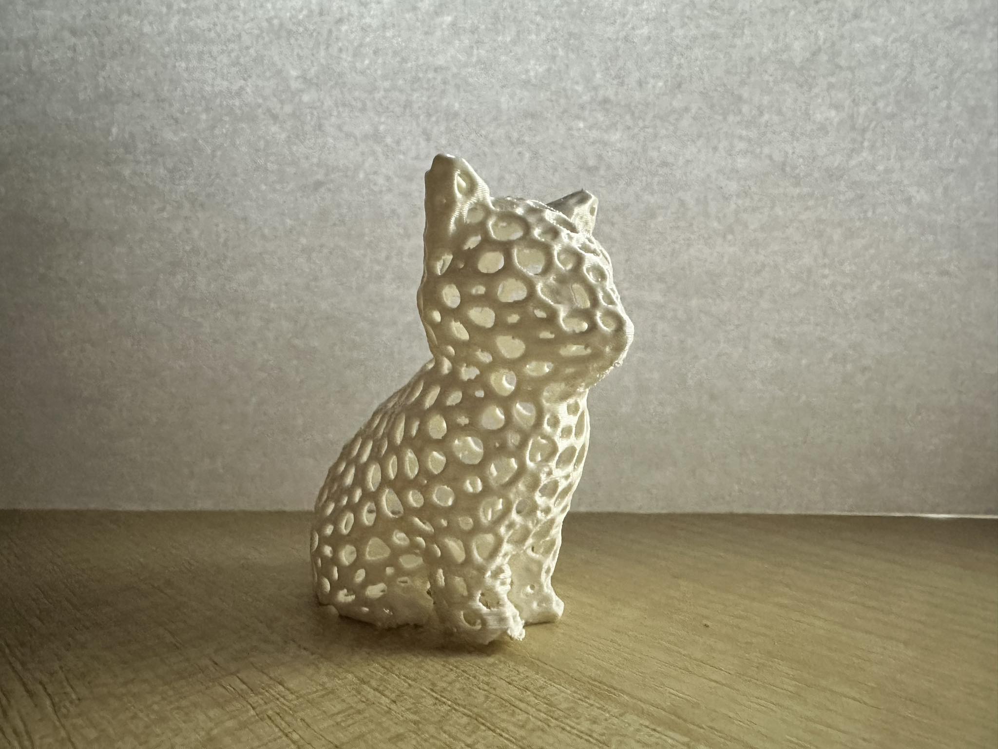 Voronoi Cat