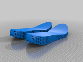 Shoe Sole for Making a Pair of Shoes