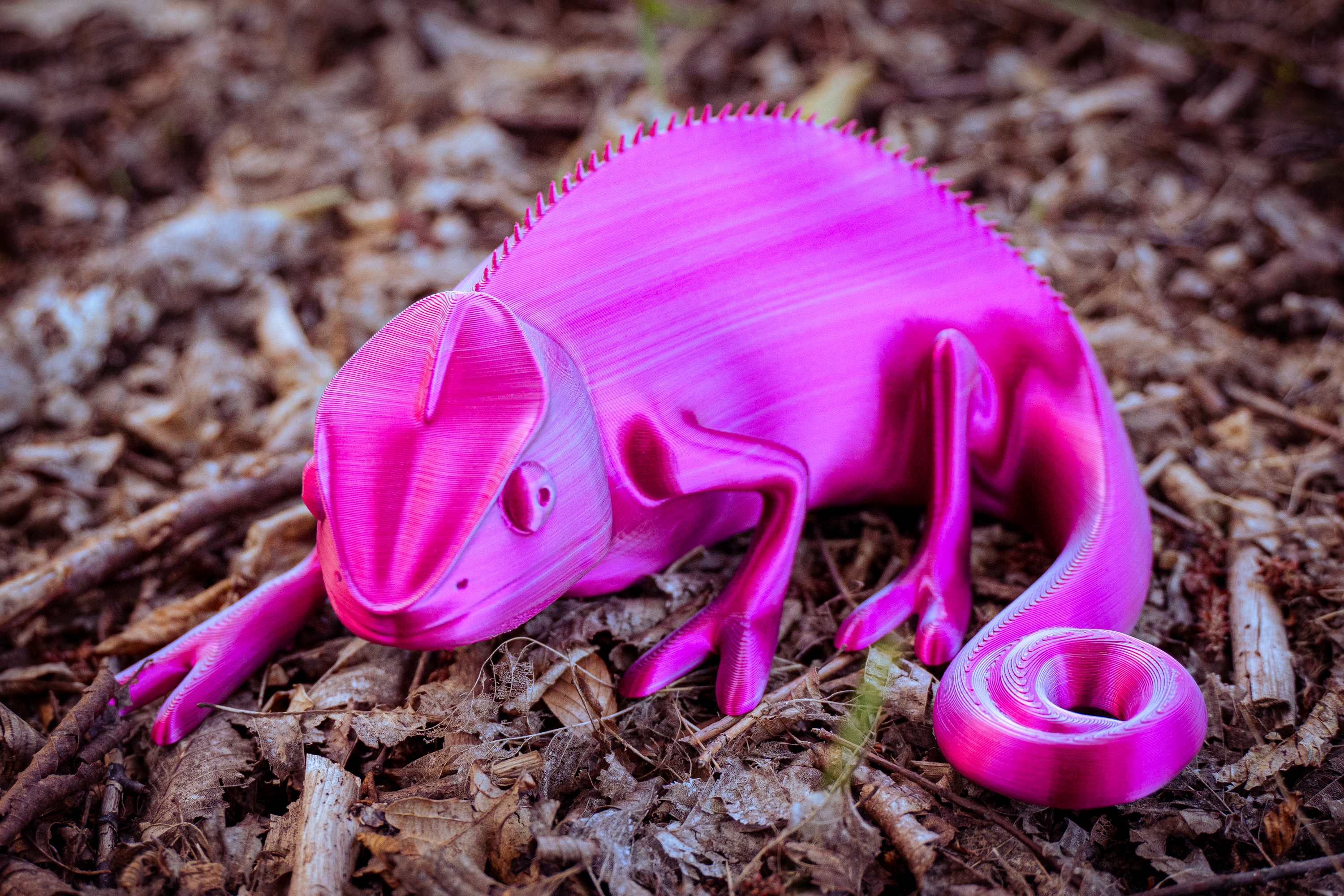 Chameleon