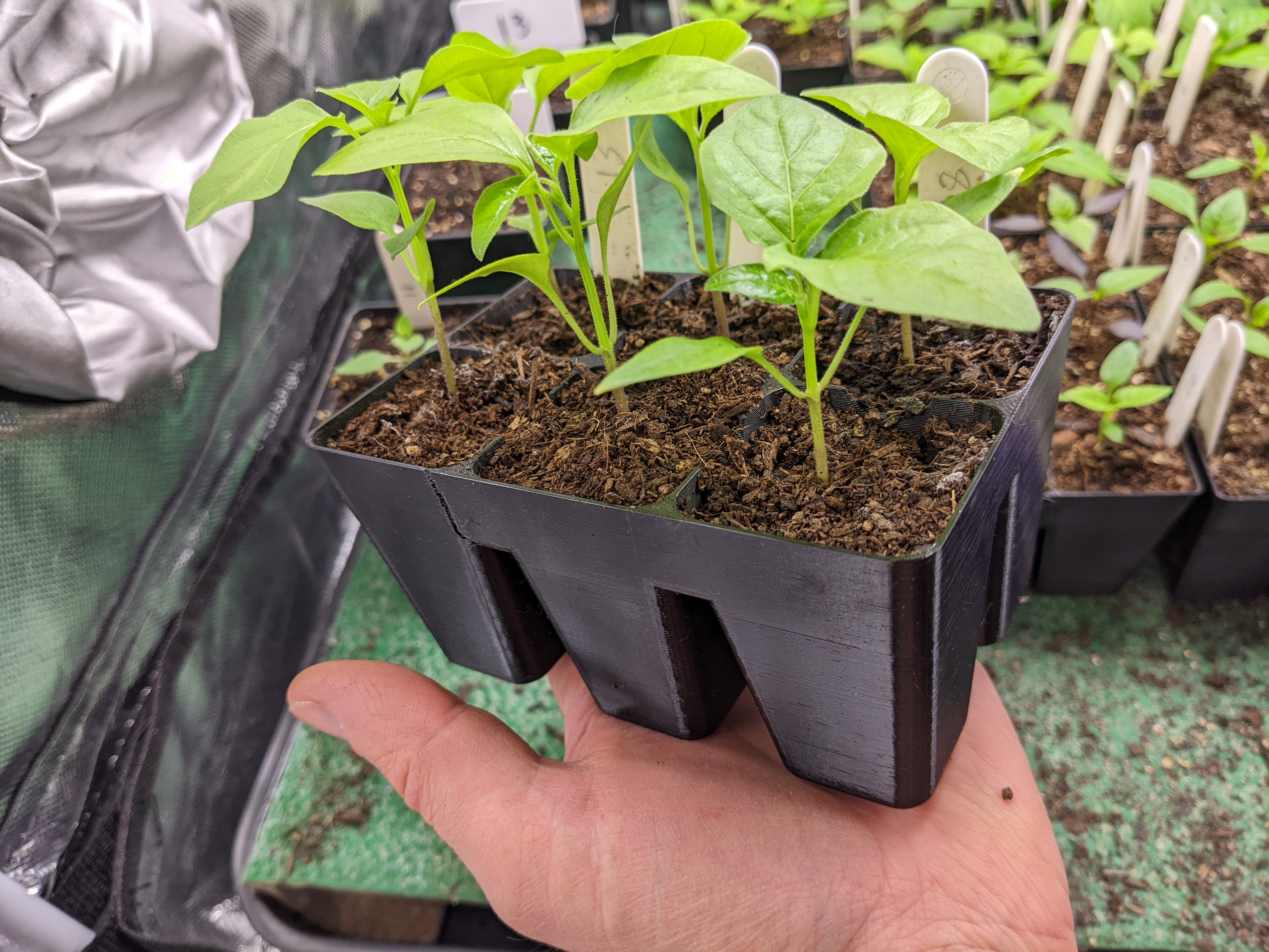 Seed/Module/Cell Tray MK2 (Seed/Plug Tray)
