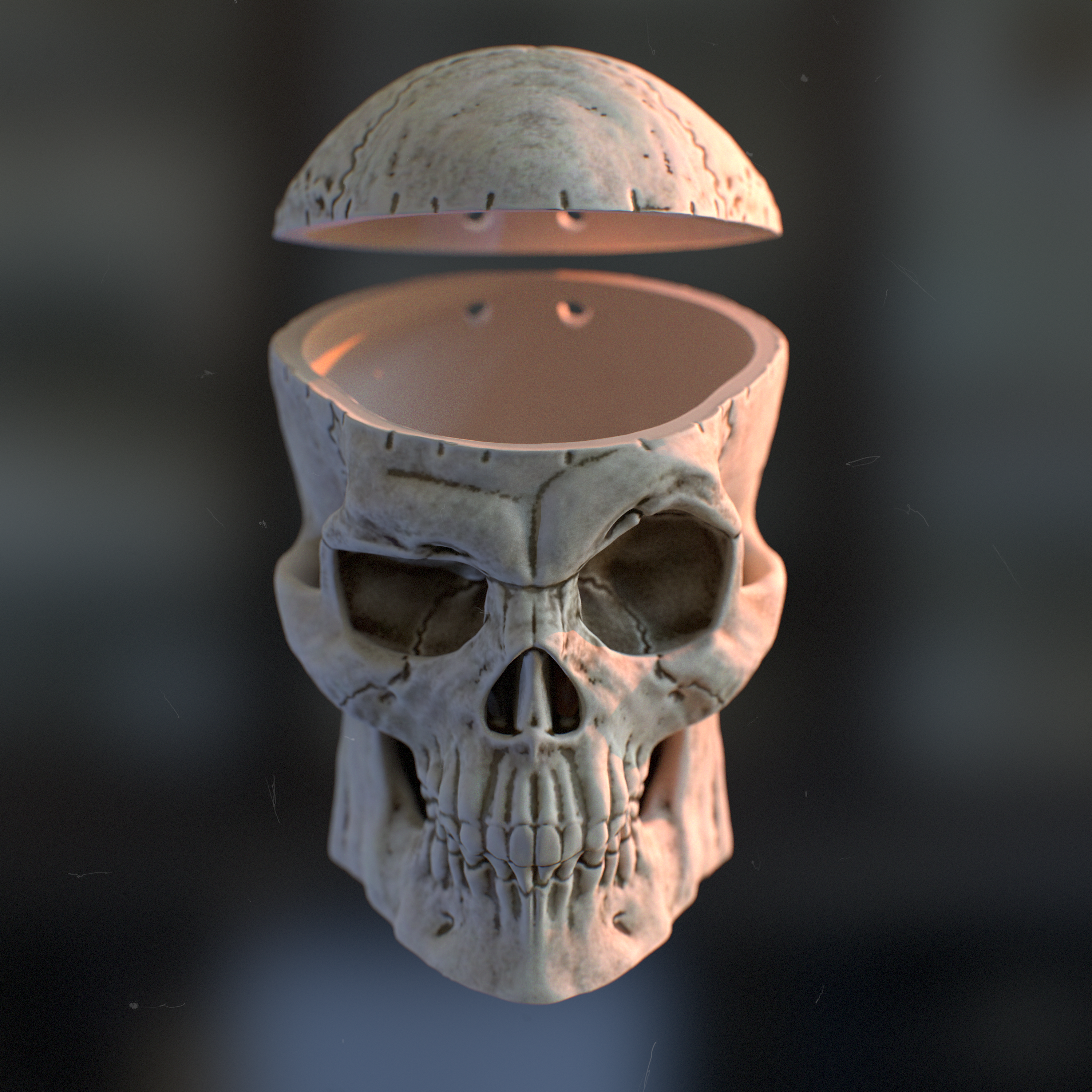 Storage Skull