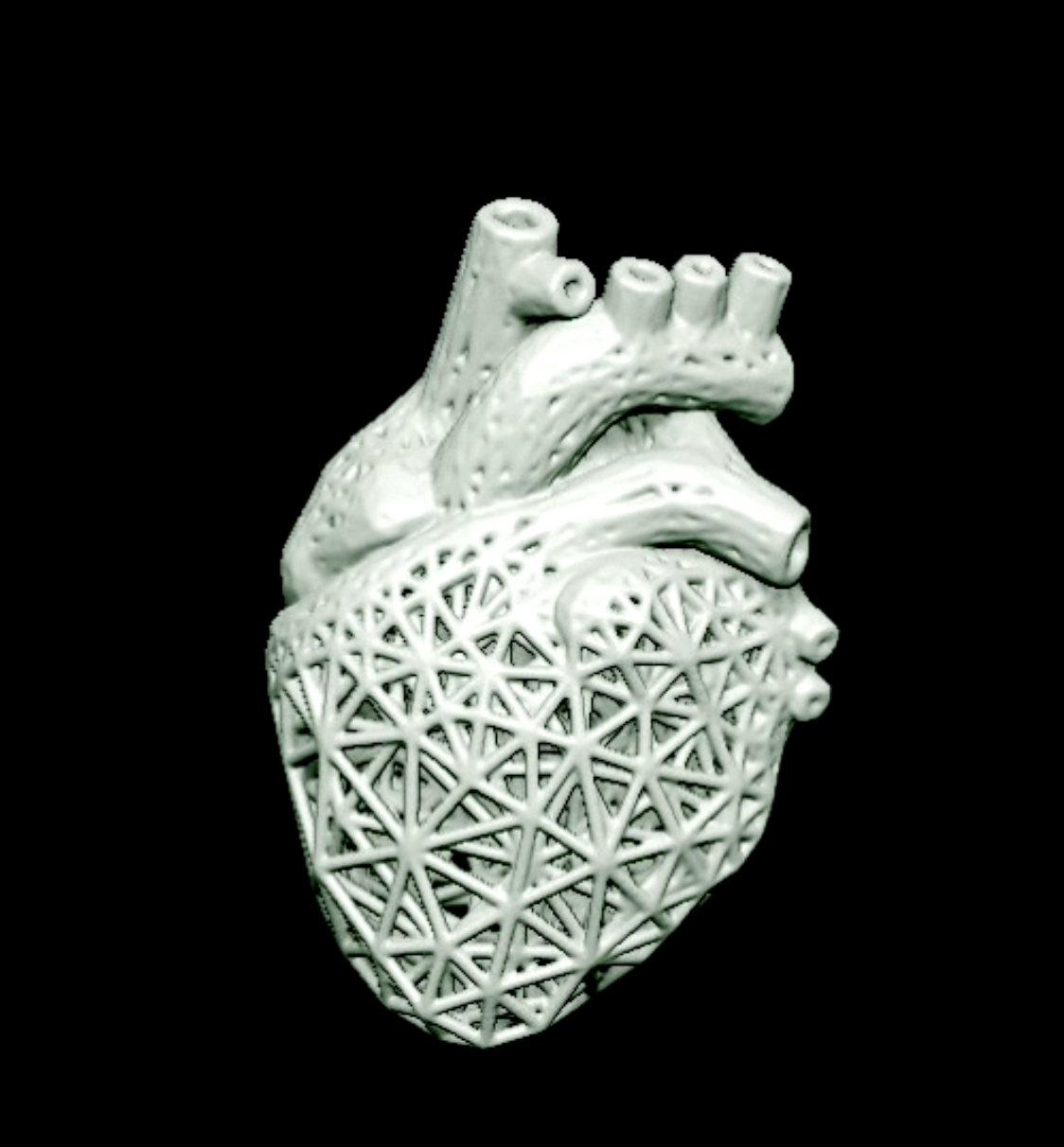 Mesh Heart