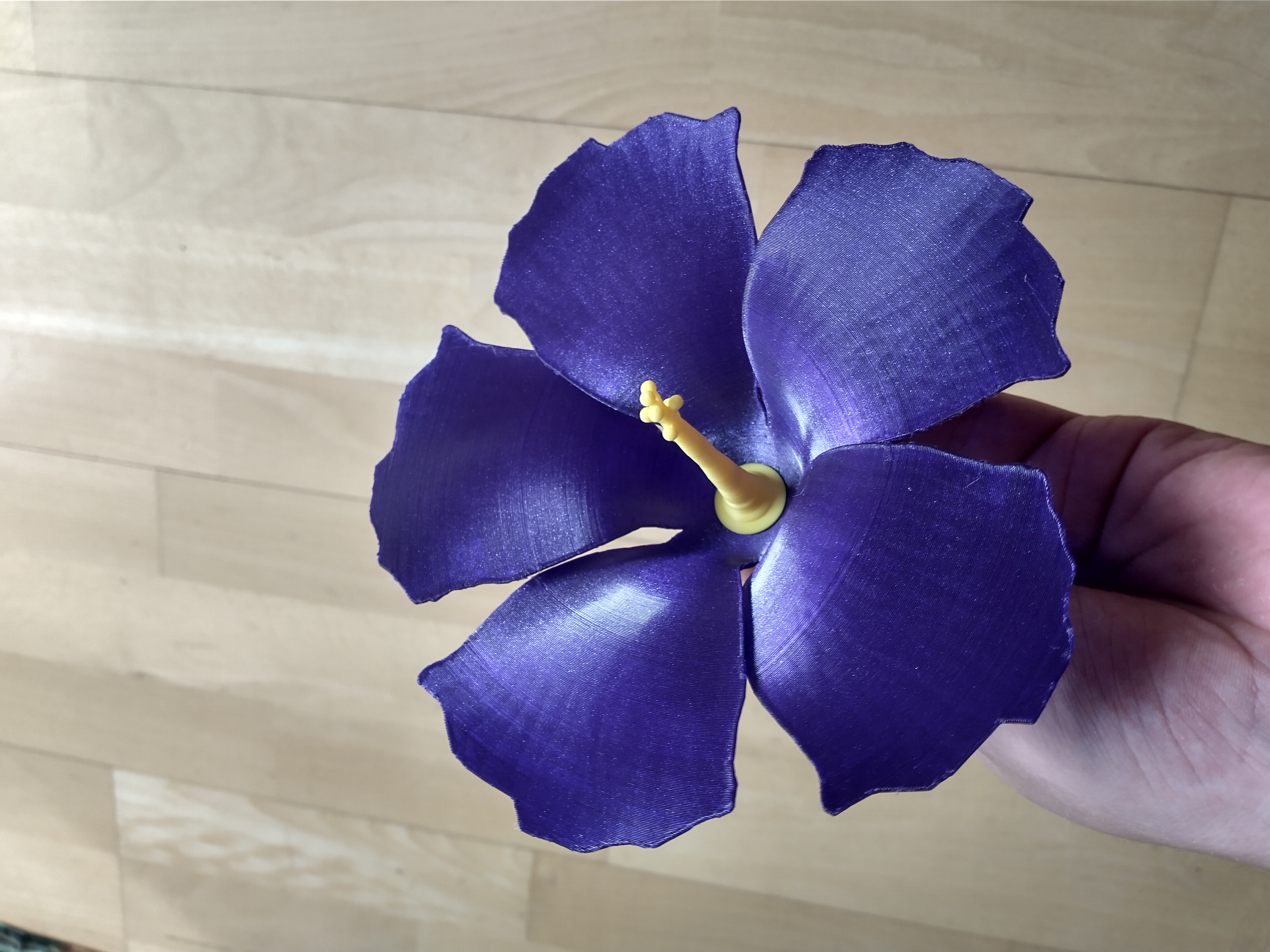 3D Hibiscus flower
