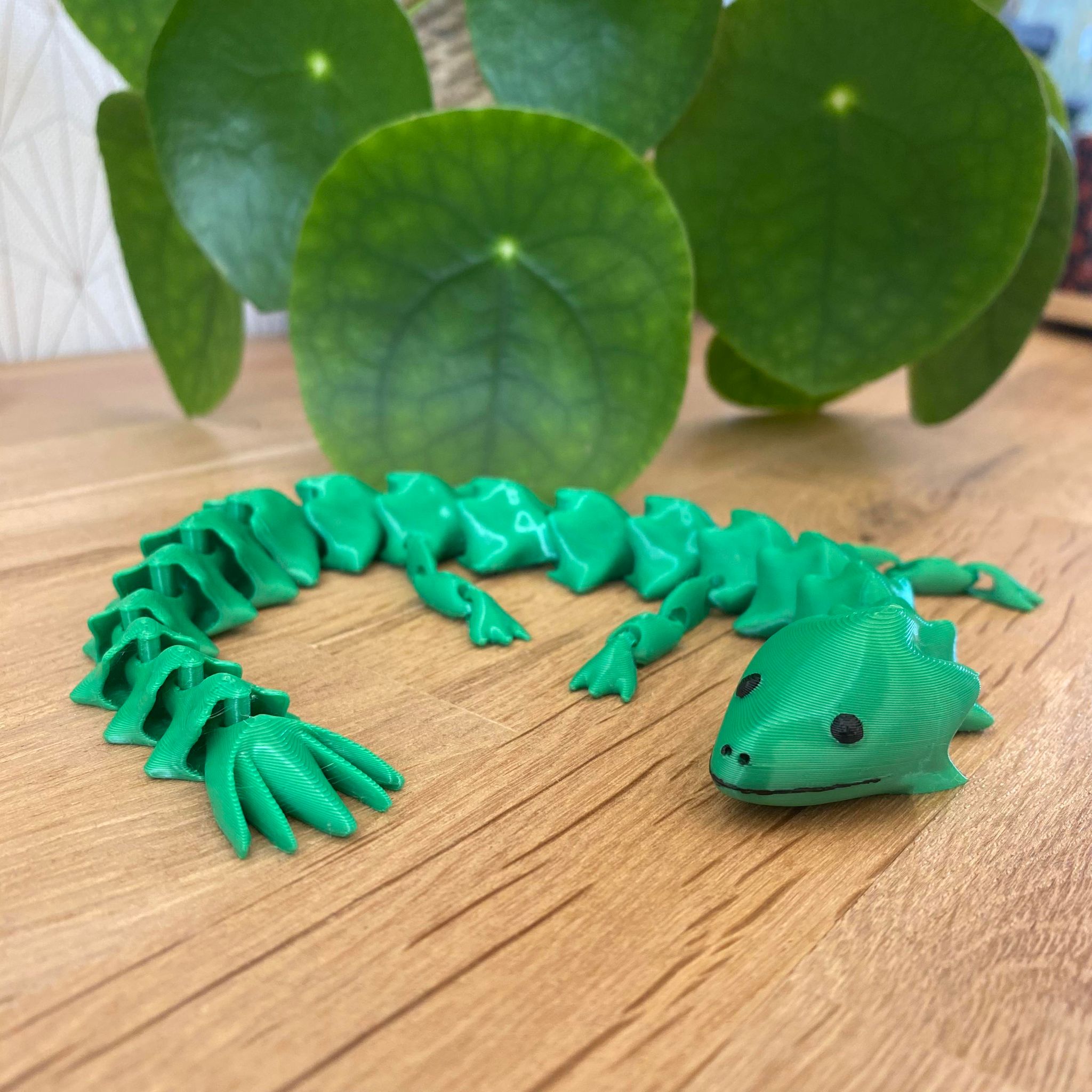Flexi dragon