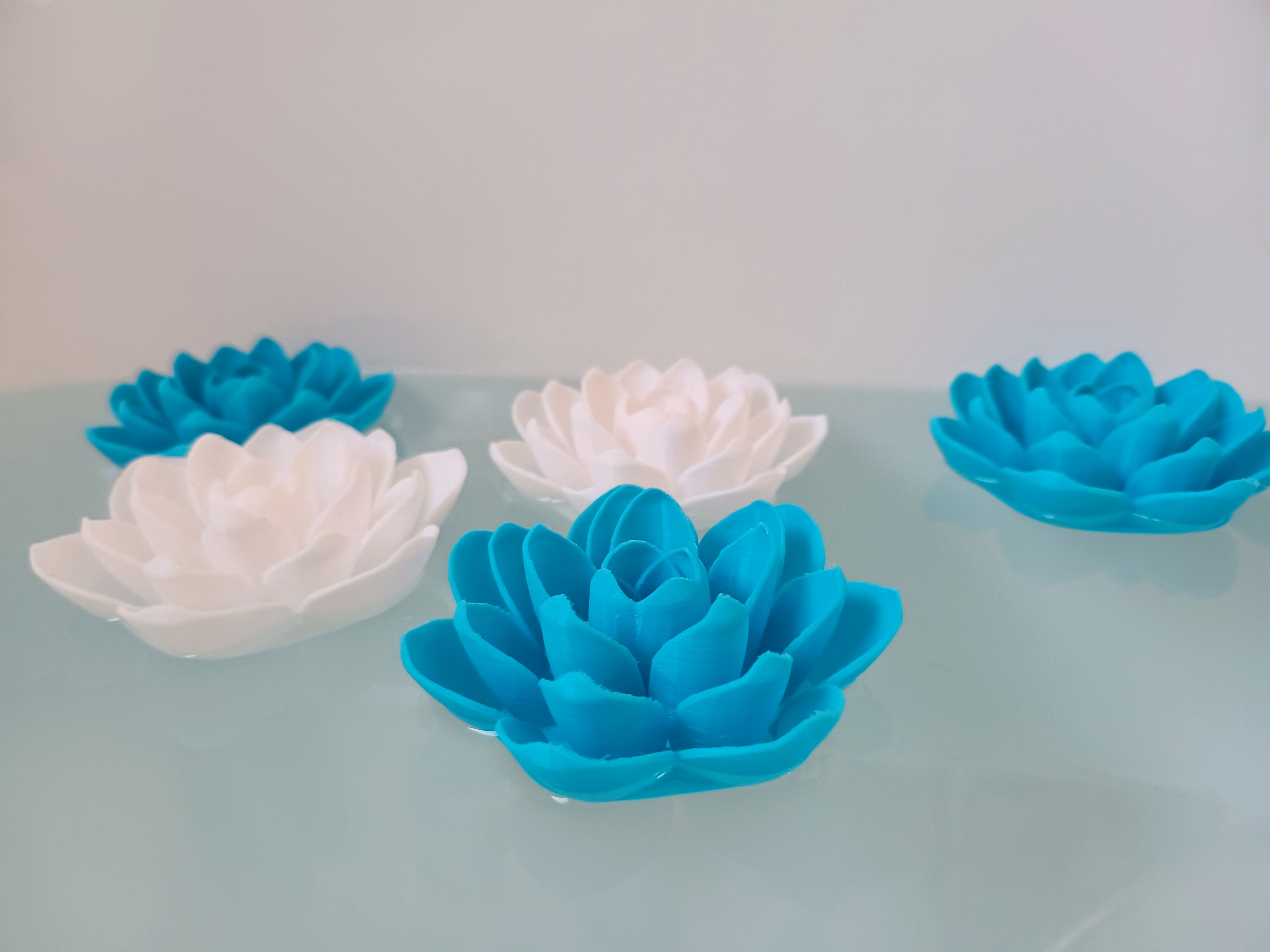 Bathtub Lotus