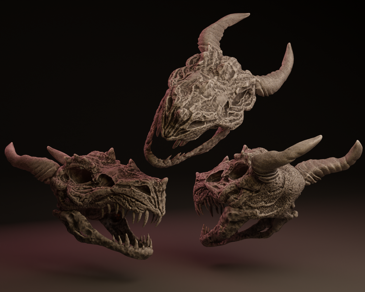 Adolescent Krayt Dragon Skull / Sand Dragon Skull