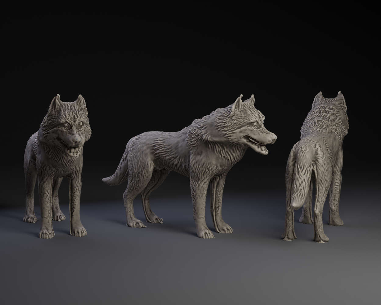 Dire Wolf