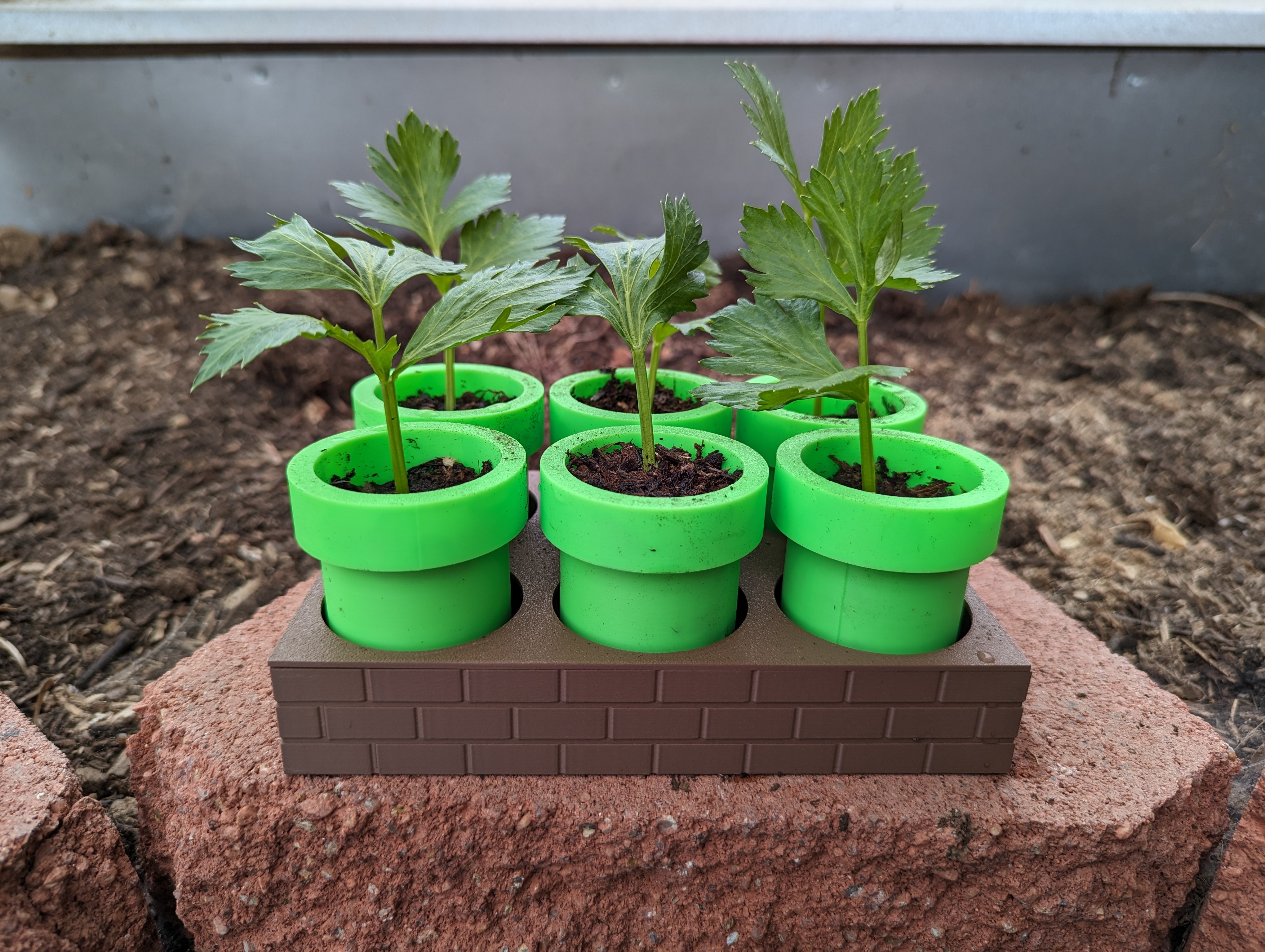 Mario Seed Starter Tray - Self Watering
