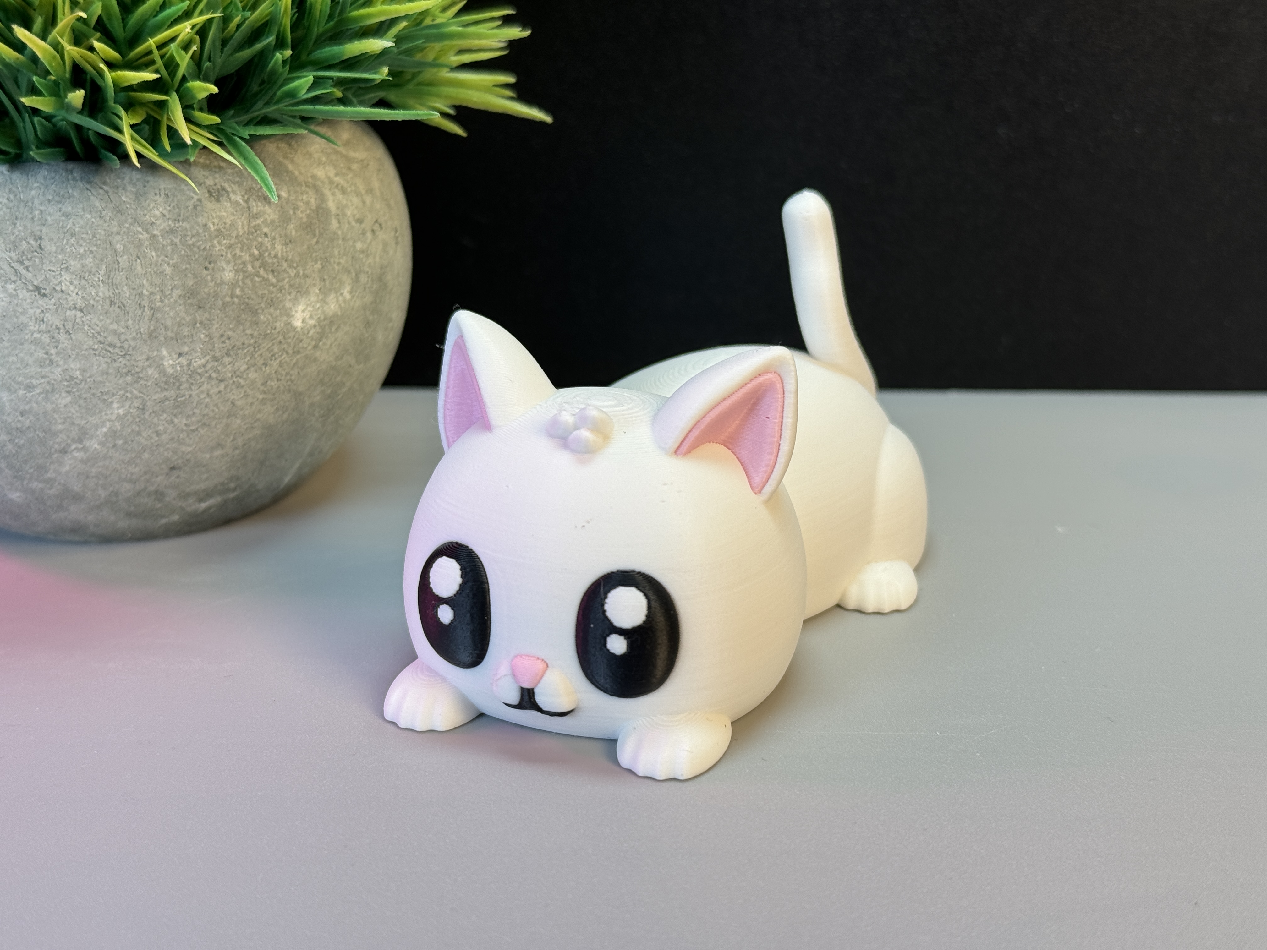 Cute Cat