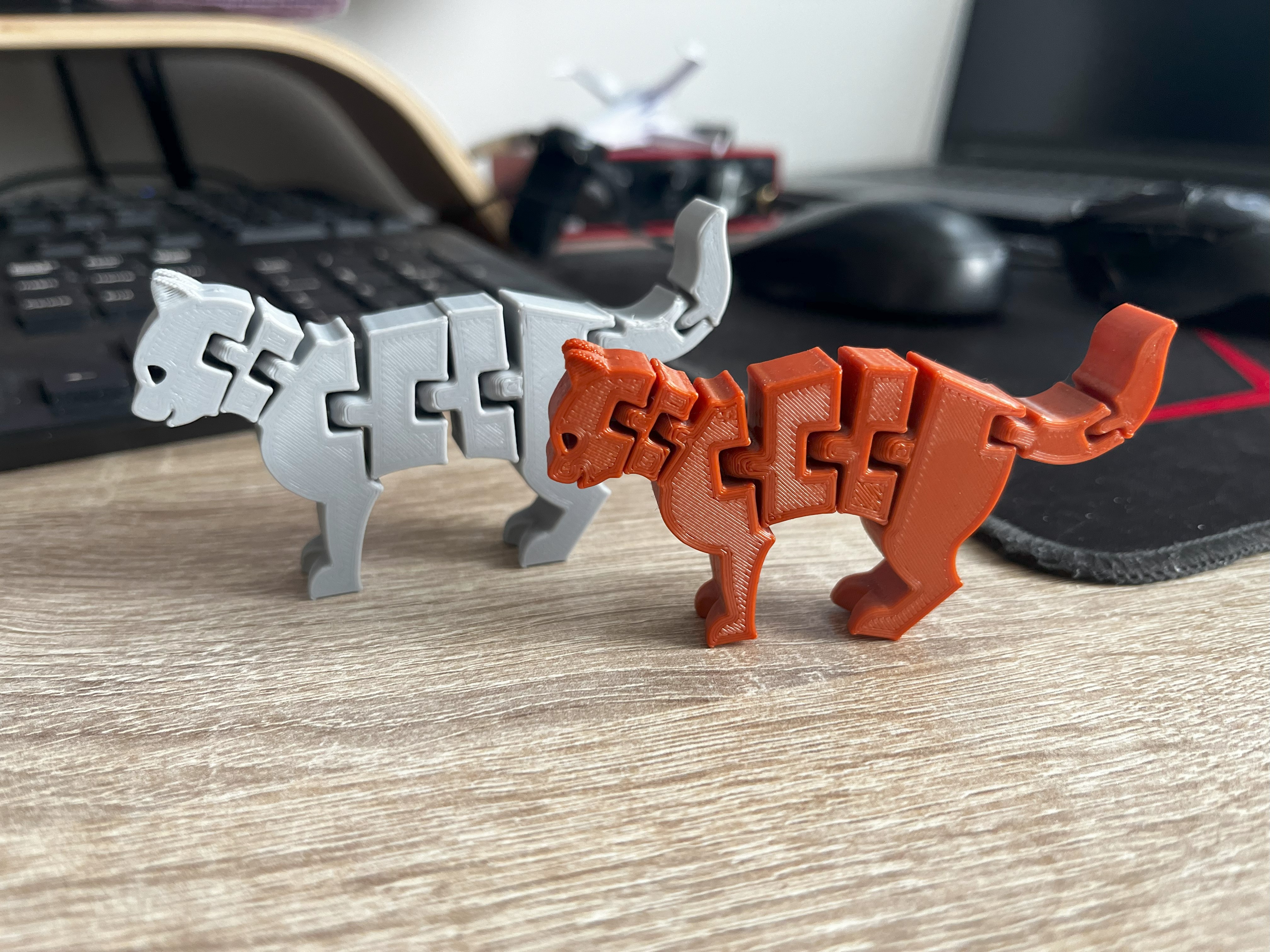 Flexi Cat - FxCat