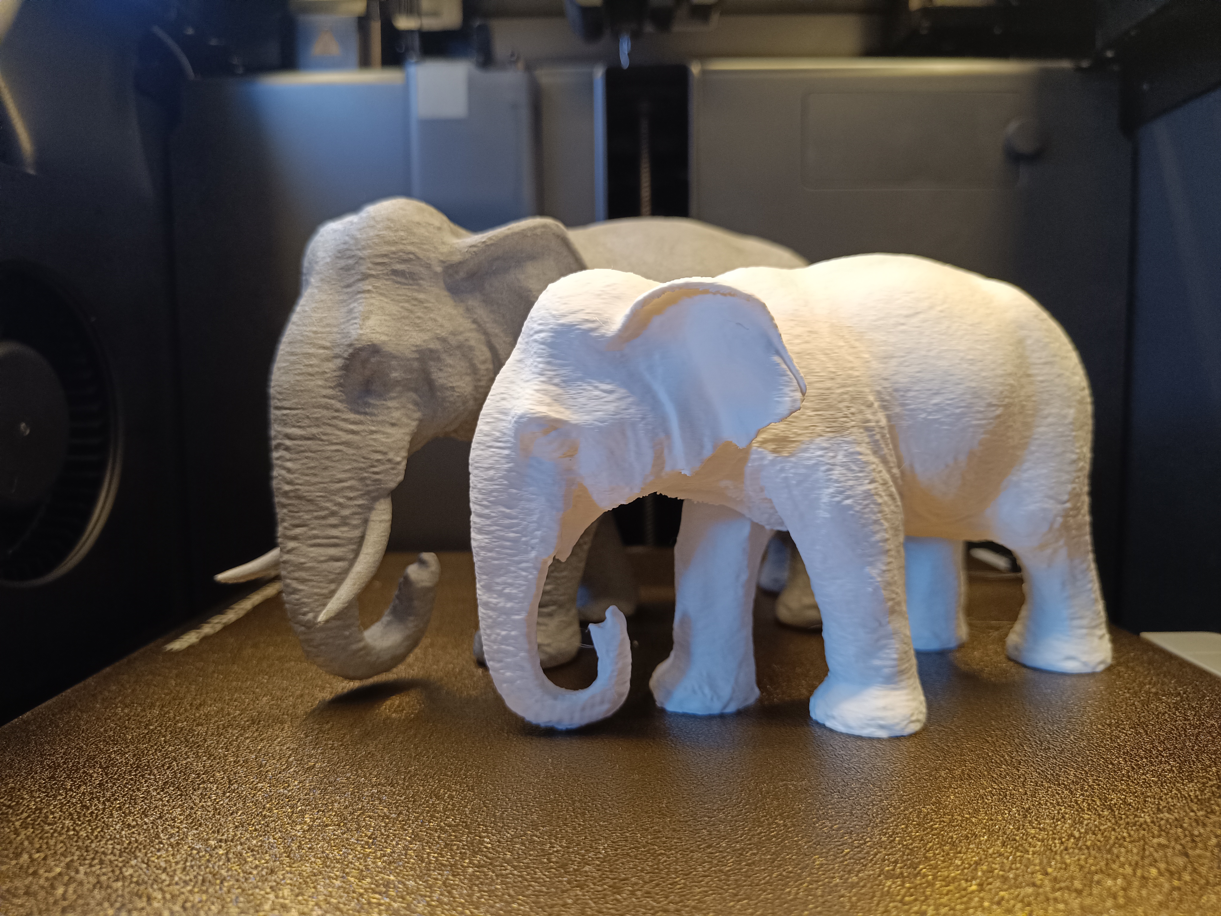 Elephant Lady