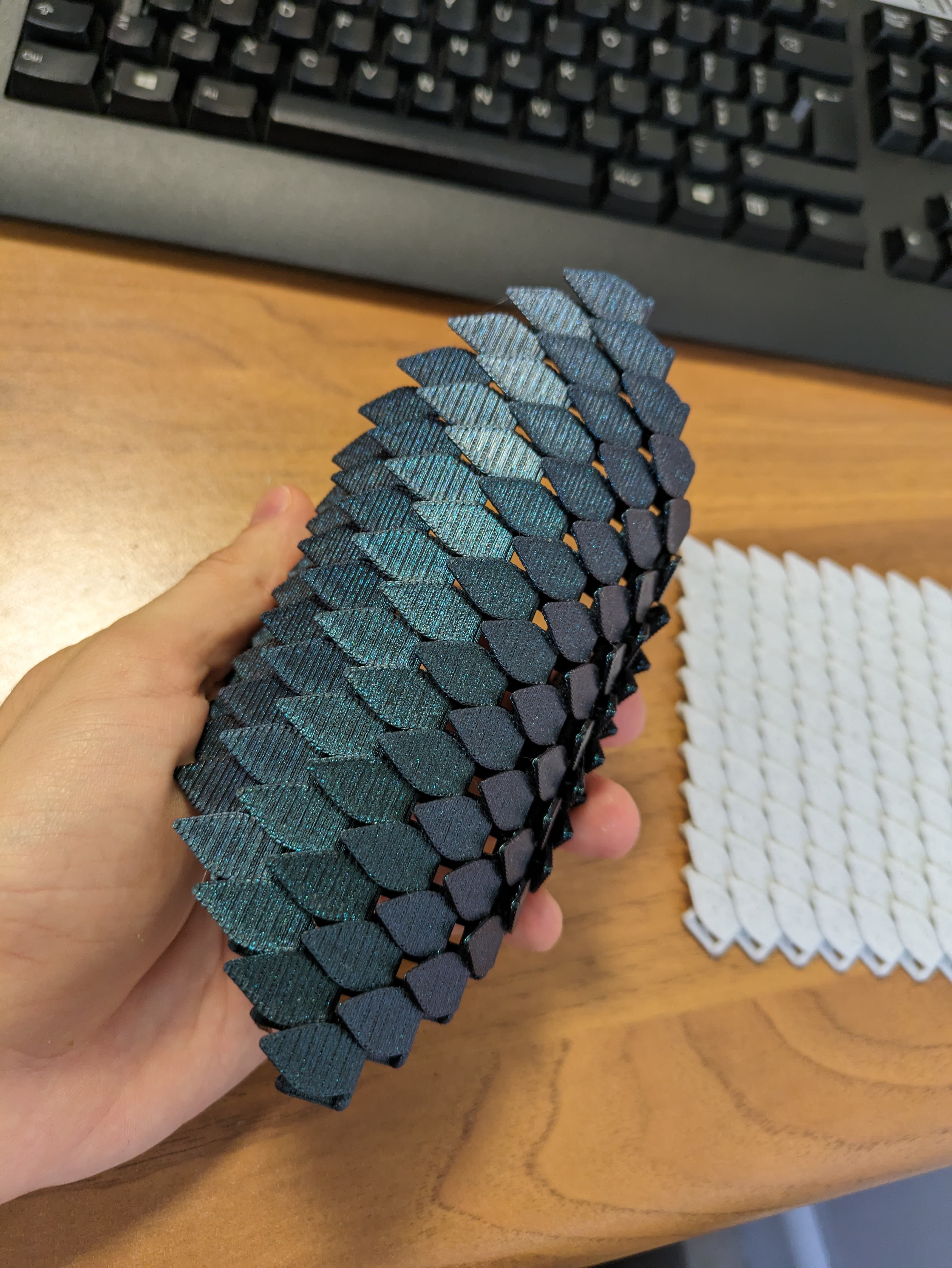 The Dragon Skin