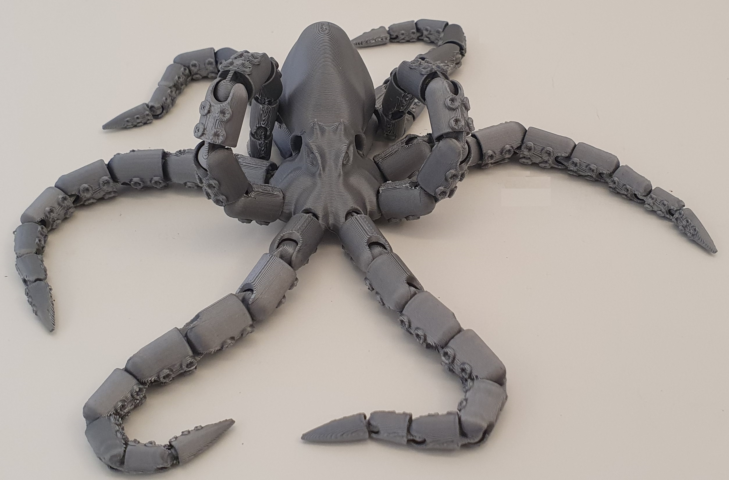 Inky the Playful Octopus