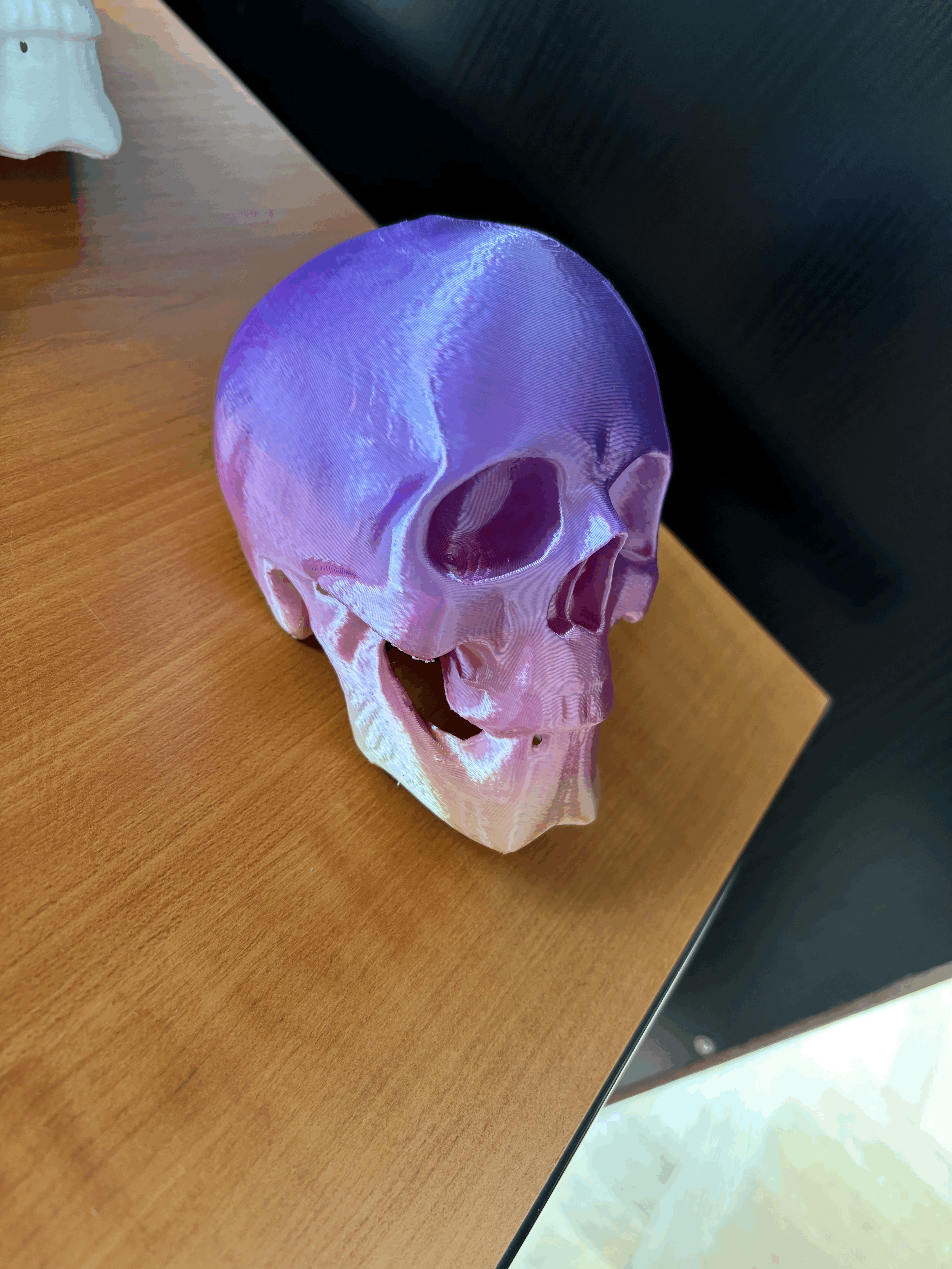Skull