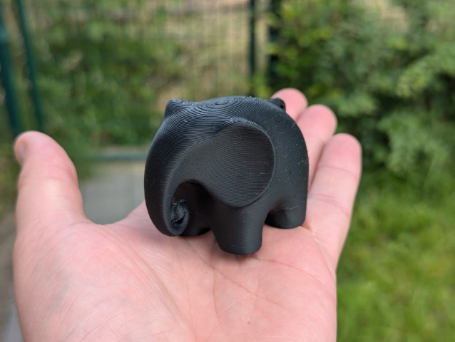 Small elephant