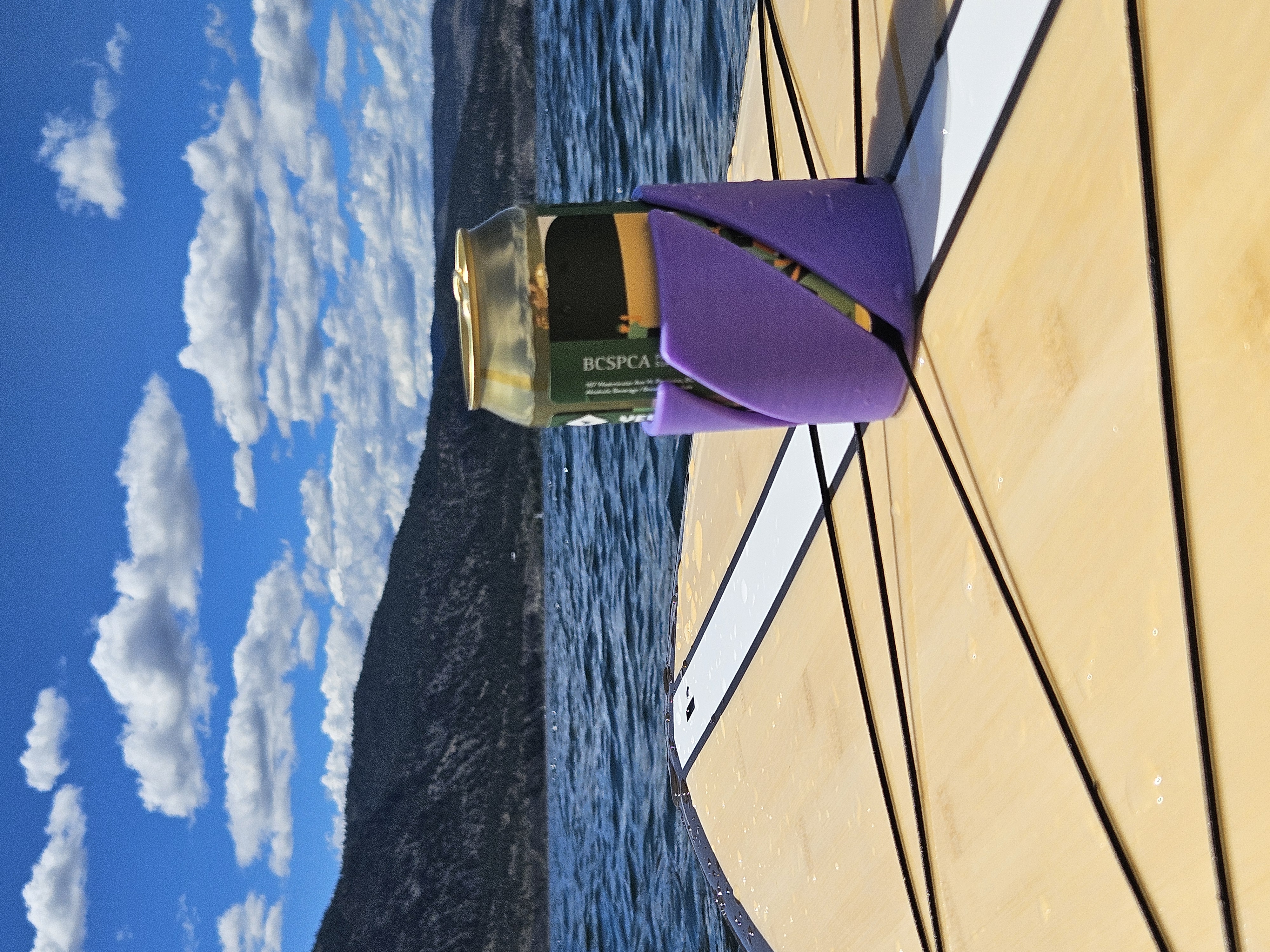 Paddleboard/Kayak/Canoe Can Holder