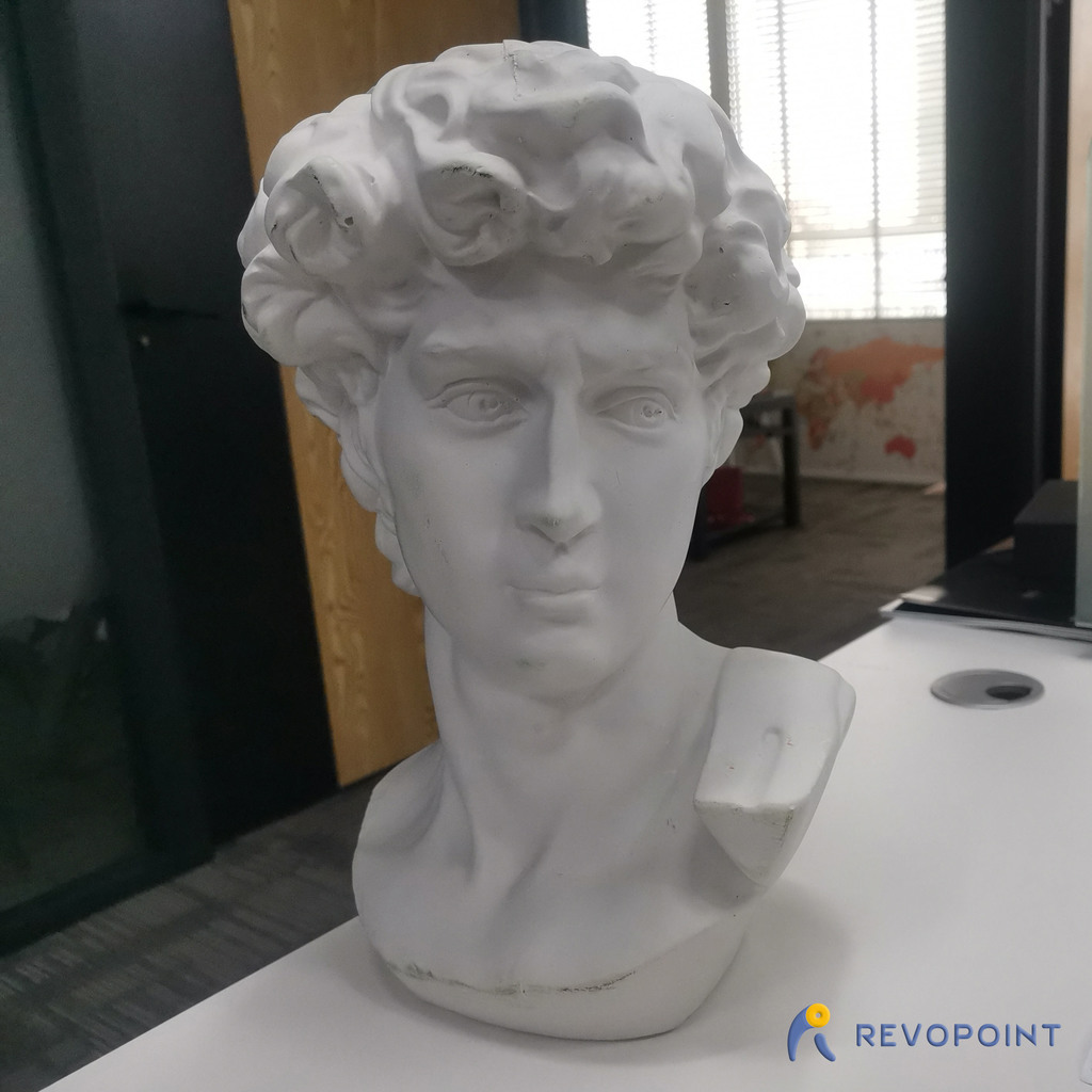 David(scanned by Revopoint POP 3D scanner)