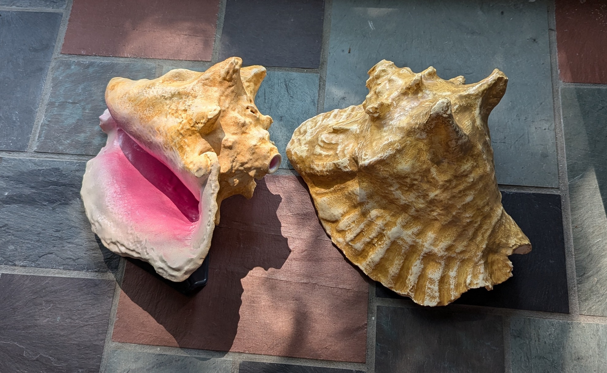 Conch Horn