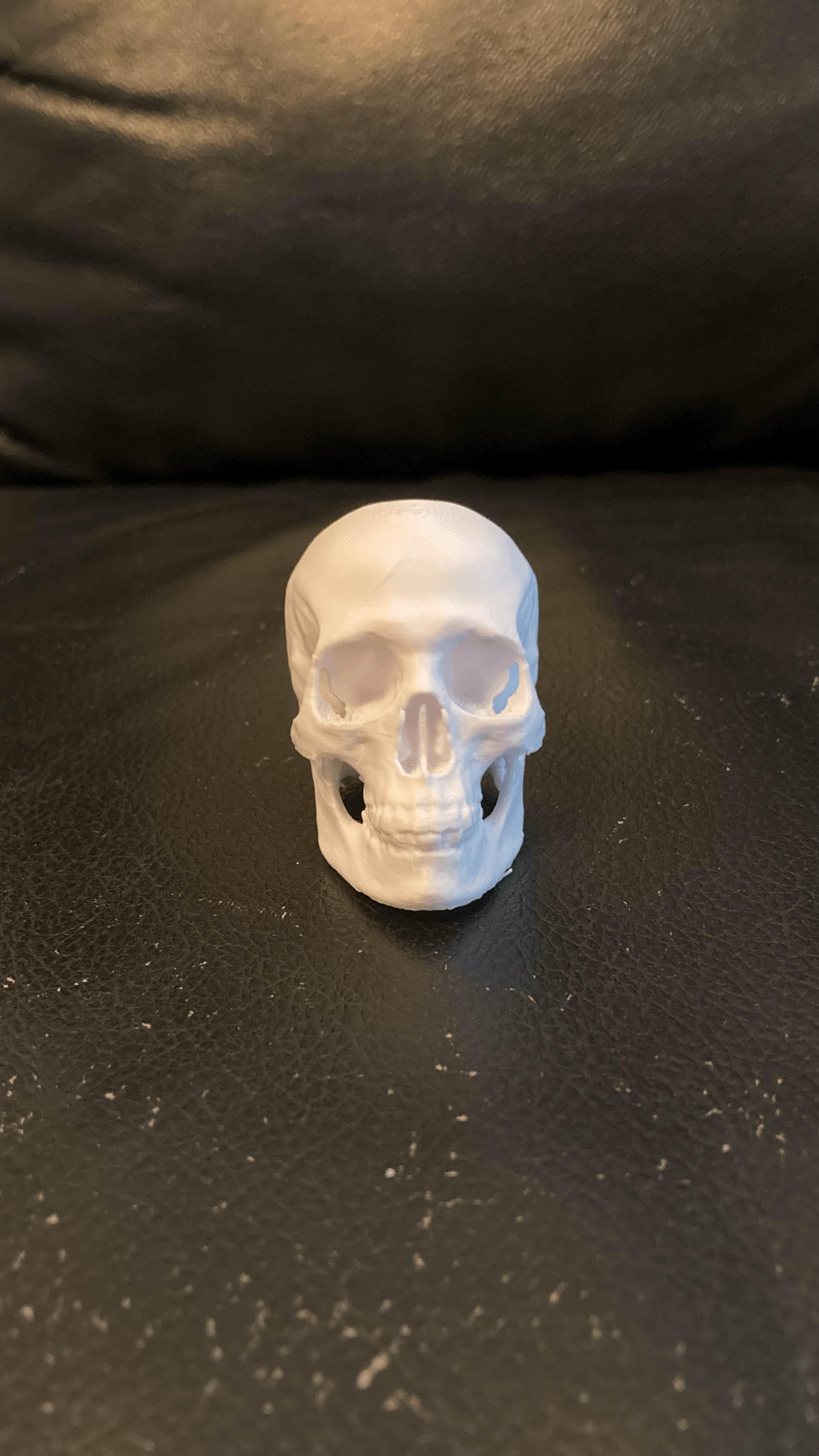Skull