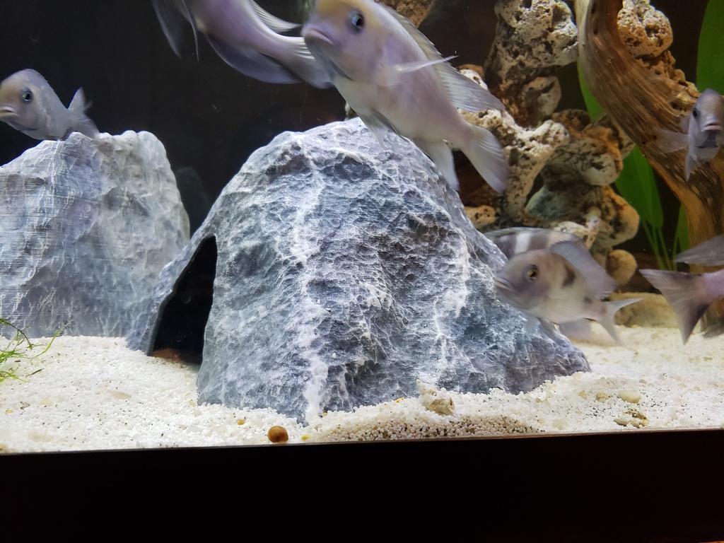 Aquarium Decoration - Textured Rock Cave - Large Tented
