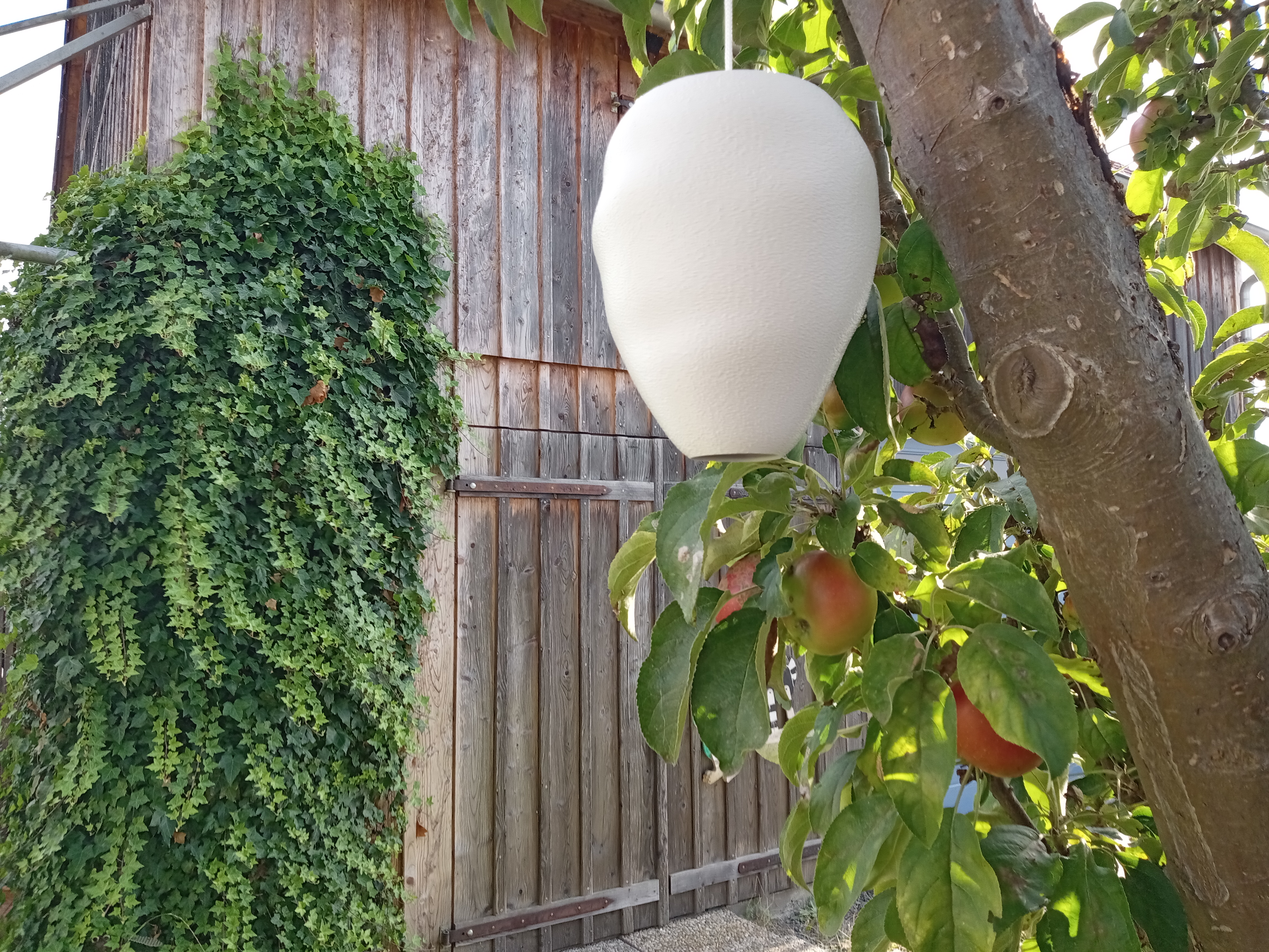 Wespennest-Attrappe / wasp nest dummy