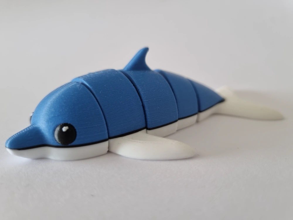 Flexi dolphin