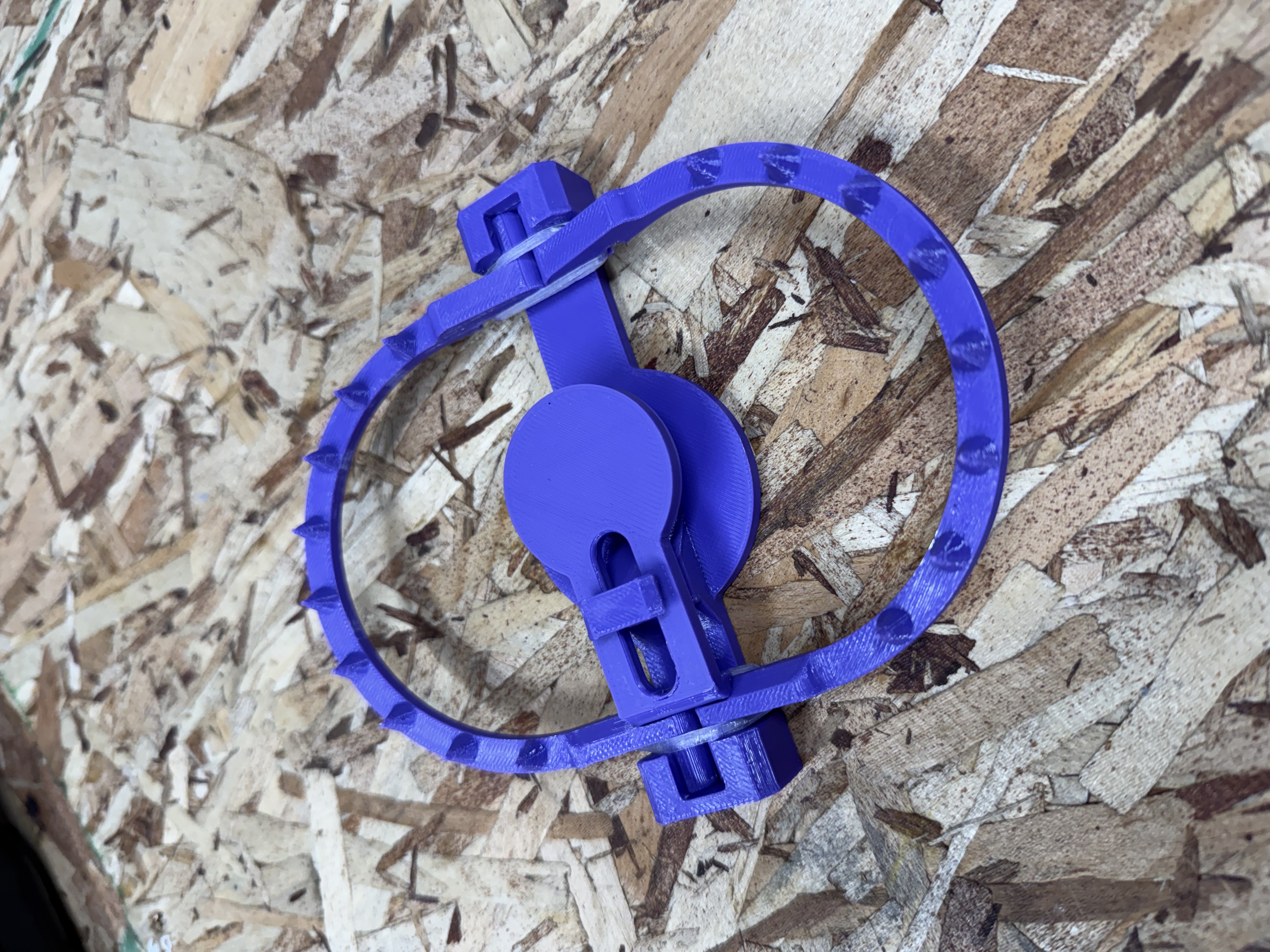 Bear Trap